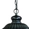 Homeroots 20.5 x 9.38 x 9.38 in. Naples 1-Light Matte Black Hanging Light 397968 - alternate 5